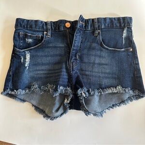 H&M Denim Raw Edge Cutoff Shorts Sz 4
